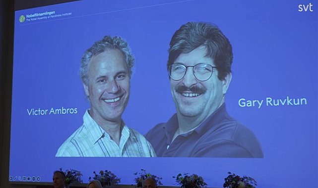 Victor Ambros ve Gary Ruvkun 2024 Nobel Tıp Ödülü'nü aldılar