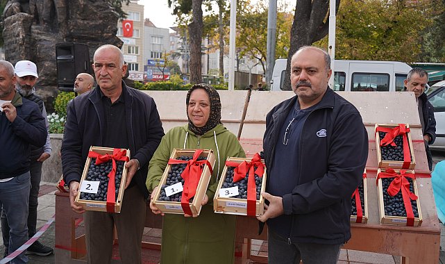 46. Orhangazi Zeytin Festivali gerçekleştirildi