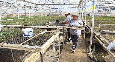 Antalya'nın caddeleri kışında rengarenk olacak