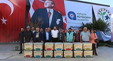 Büyükşehir'den Gazipaşalı arıcılara kovan desteği