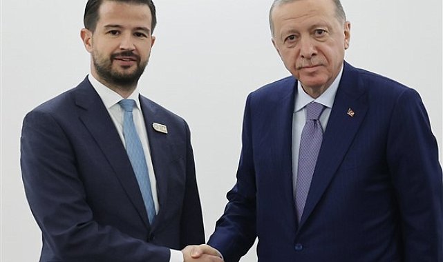 Cumhurbaşkanı Erdoğan, Karadağ Cumhurbaşkanı Milatoviç ile buluştu