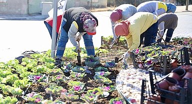Didim'de Kışlık Çiçeklerin Dikimine Başlandı