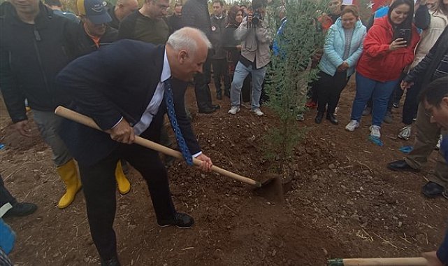 Diyarbakır'da 12 bin ağaç dikildi
