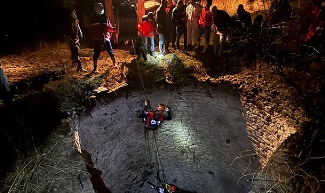 Diyarbakır’da kuyuya düşen yaban domuzu kurtarıldı