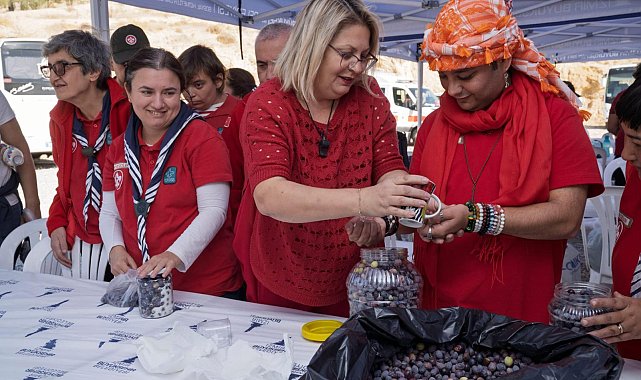 Engelli bireyler zeytin hasadına katıldı