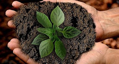 Gedik Yatırım'dan gelecek nesiller için TEMA Vakfı iş birliği ile hatıra ormanı