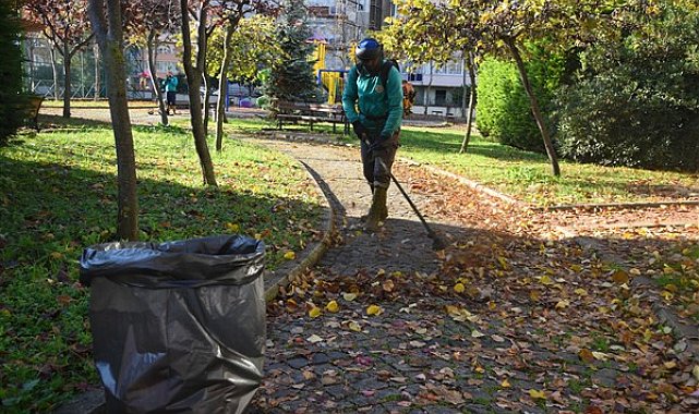 Giresun Belediyesi ekipleri, yeşil alanlarda çalışmalarını sürdürüyor