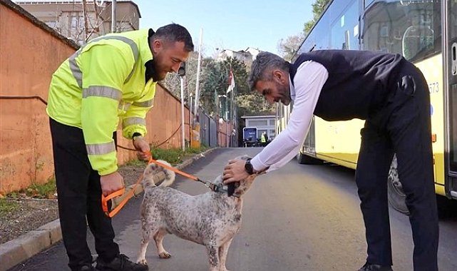 İETT, 3 garajı için 5 sokak hayvanını sahiplendi