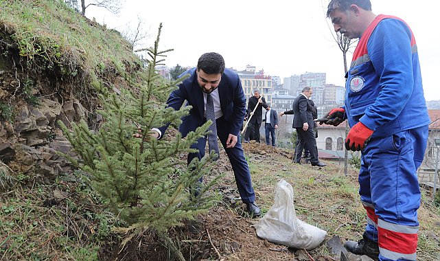 Kağıthane Belediyesi, 50 bin adet ağaç dikimi gerçekleştirdi