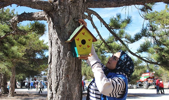 Karaman Gençlik Merkezi, kuş evleri hazırladı