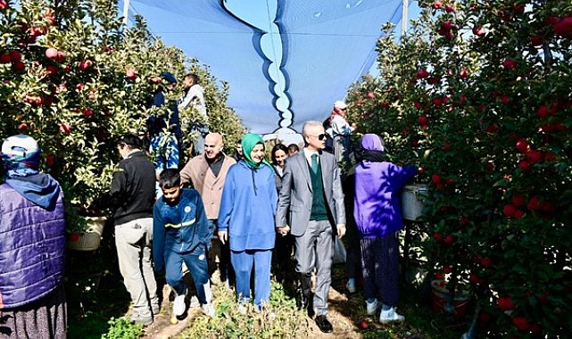 Karaman Valisi Çiçekli, elma hasadı yaptı