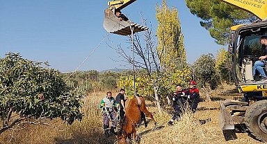 Kemalpaşa Ulucak Mahallesi'nde su kuyusuna düşen yılkı atı, ekiplerin yoğun çalışmaları sonucu kurtarıldı