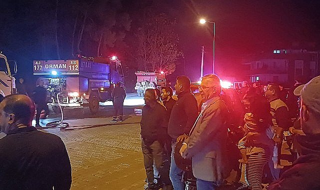 Kemer'de korkutan yangın