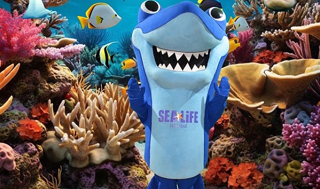 LEGOLAND Discovery Centre ve SEA LIFE İstanbul’da eğlence dolu bir tatil