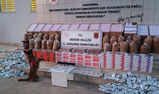 Mersin'de 330 bine yakın kaçak makaron ele geçirildi