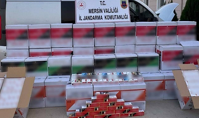 Mersin'de 620 bin adet makaron ele geçirildi