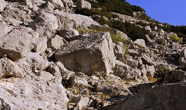 Rize'de meydana gelen heyelanda 1 kişi hayatını kaybetti