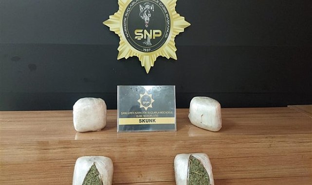 Şanlıurfa’da 2 kilo 550 gram skunk ele geçirildi