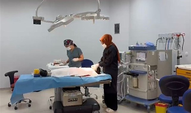Şanlıurfa'da genel anestezi ve sedasyon altında diş tedavi hizmeti