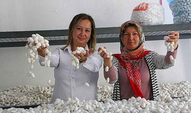 Sapadere İpek Evi'nde eğitim kursları başladı