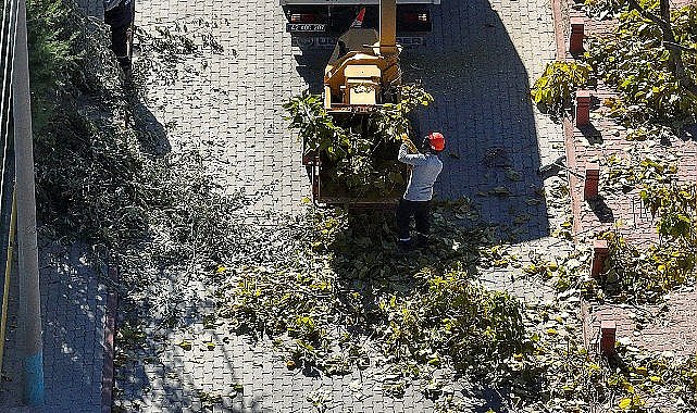 Selçuklu'da Ağaç Budama Çalışmaları Devam Ediyor