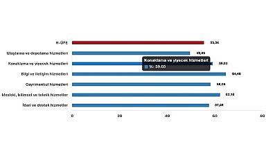 Tüik: Hizmet Üretici Fiyat Endeksi (H-ÜFE) yıllık %55,34 arttı, aylık %0,24 arttı