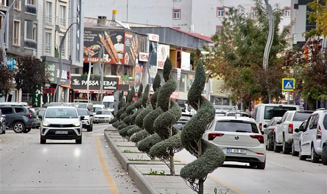 Van Büyükşehir, dekoratif budama çalışmalarıyla estetik görünümü artırıyor
