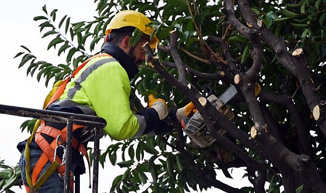 Yalova Belediyesi kış hazırlıklarını sürdürüyor