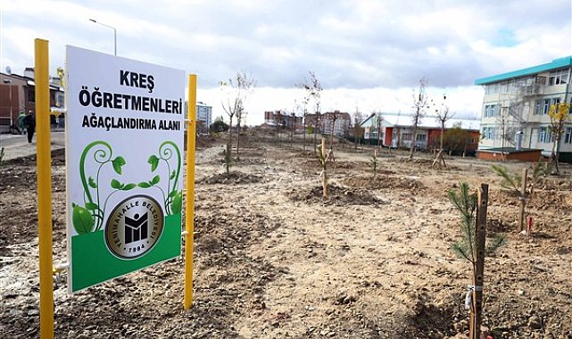 Yenimahalle’den öğretmenler için ağaçlandırma alanı
