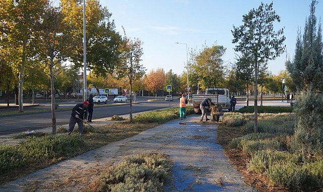 Yenişehir Millet Bahçesi’nde çalışma başlatıldı