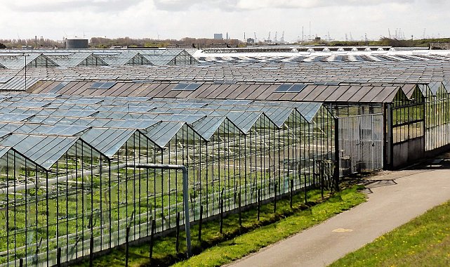 Agrotech'ten arazi alımı