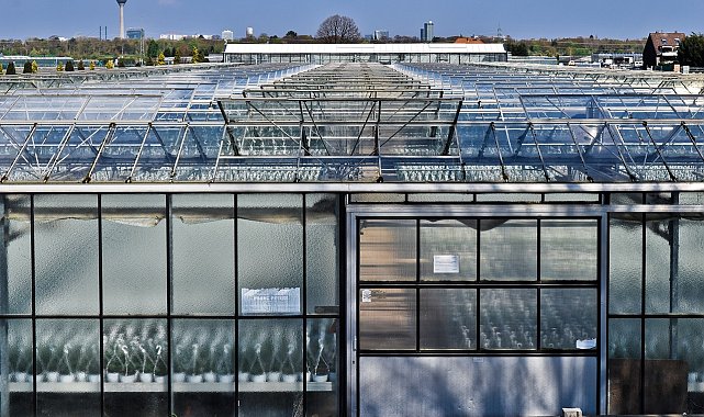 Agrotech'ten yeni yatırım kararı