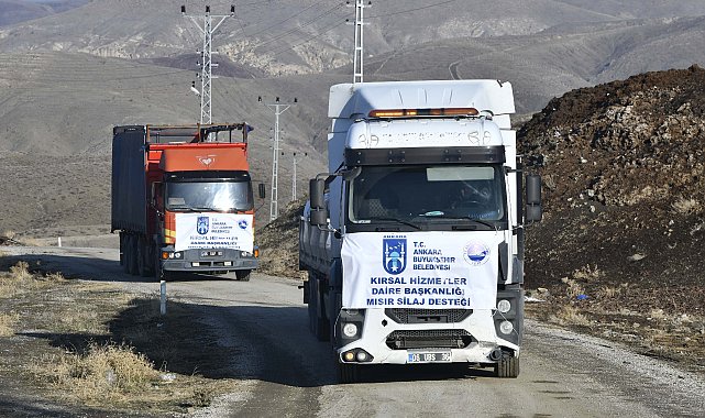 Ankara Büyükşehir ve Kalecik Belediyelerinin silajlık mısır desteği başladı