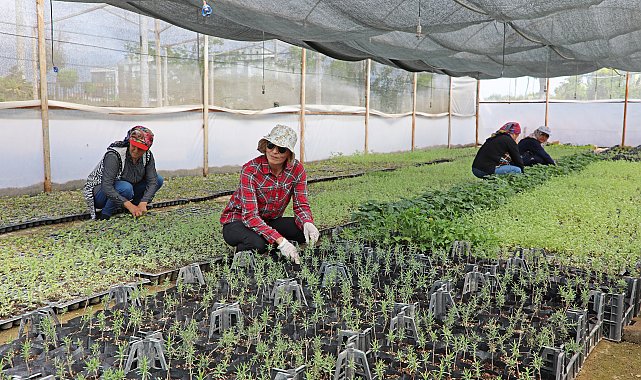 Antalya Büyükşehir Belediyesi, 2024 yılında da üreticinin yanında