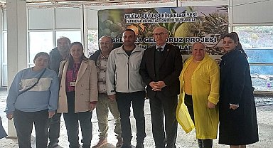 Büyükşehir'den Badem Biti ve Zeytin Zararlılarıyla Mücadele