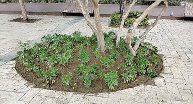Büyükşehir'den Manisa'nın Yeşil Alanlarına Peyzaj Düzenlemesi