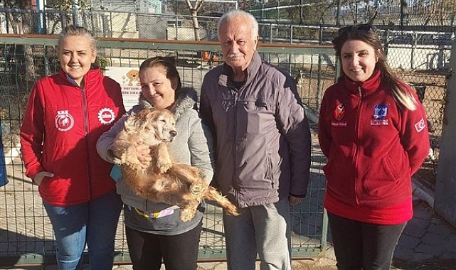 Çanakkale'de 660 sokak hayvanının muayene ve tedavisi yapıldı