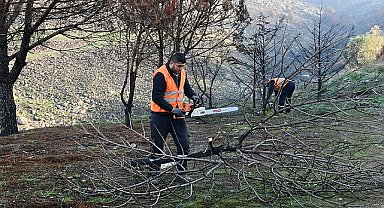 Çiğli Belediyesi Orman Yangınının İzlerini Silmek İçin Seferber Oldu