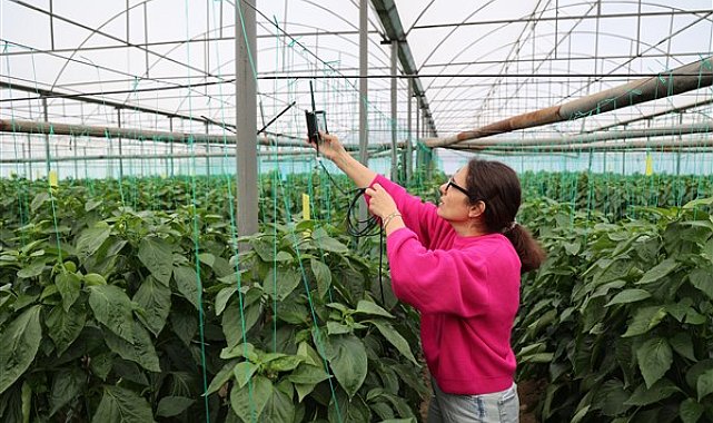 Dijital Tarım Projesi ile veriler çiftçilerin cebinde