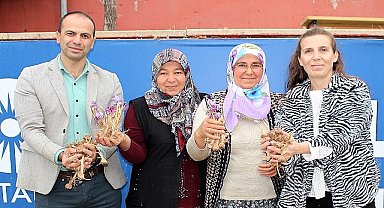 Elmalı'da safran soğanı dağıtımı yapıldı