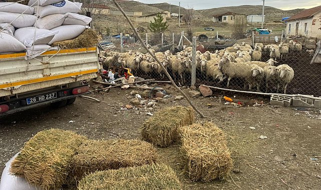 Eskişehir Büyükşehir Belediyesi'nden hayvan üreticilerine yem desteği