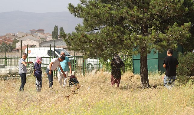 Eskişehir Büyükşehir Belediyesi zabıta ekipleri 2024 çalışmalarını açıkladı