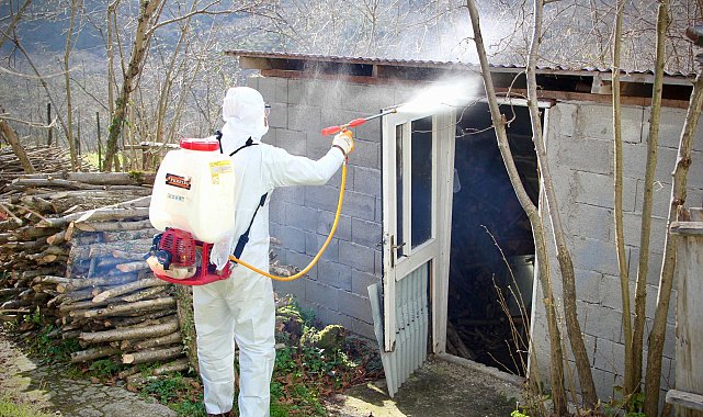 Giresun Belediyesi ilaçlama çalışmalarını sürdürüyor