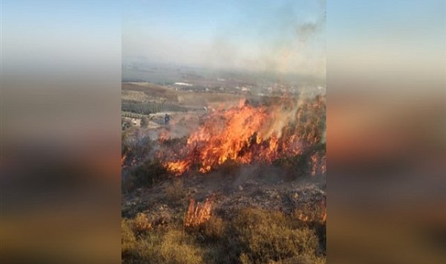 Hatay Kırıkhan’da orman yangını