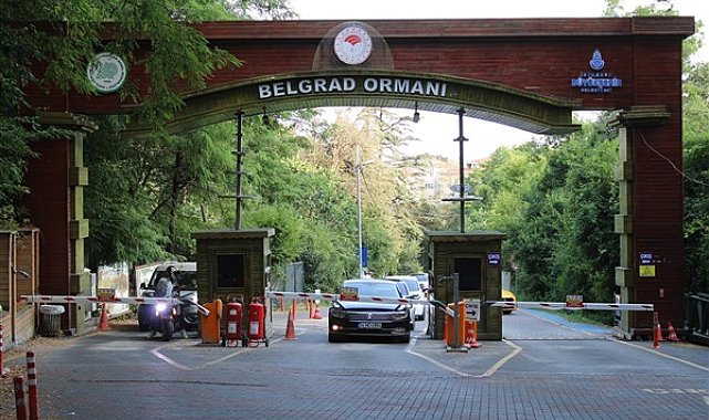 Çin’de demiryoluyla taşınan yük hacmi arttı