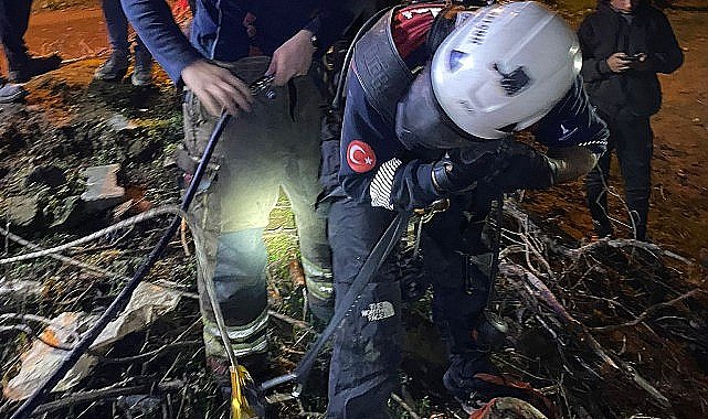 İtfaiye ekipleri buzağıyı düştüğü kuyudan çıkardı