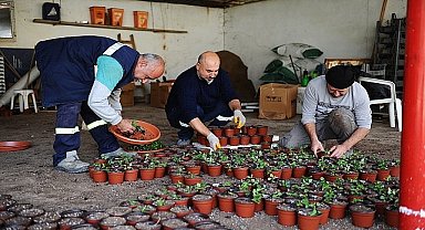Karşıyaka Belediyesi'nin serasında binlerce çiçek yetişiyor