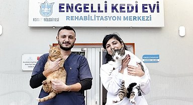 Konak'ın engelleri aşan Kedi Evi'nden sahiplenme çağrısı