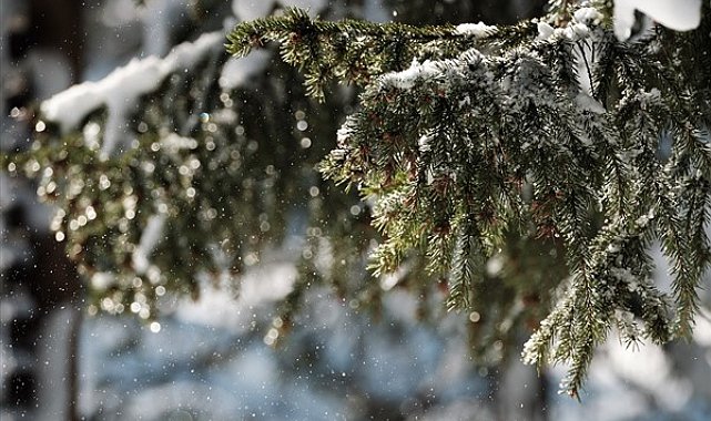 Meteoroloji’den Doğu Karadeniz ve Doğu Anadolu Bölgeleri için uyarı