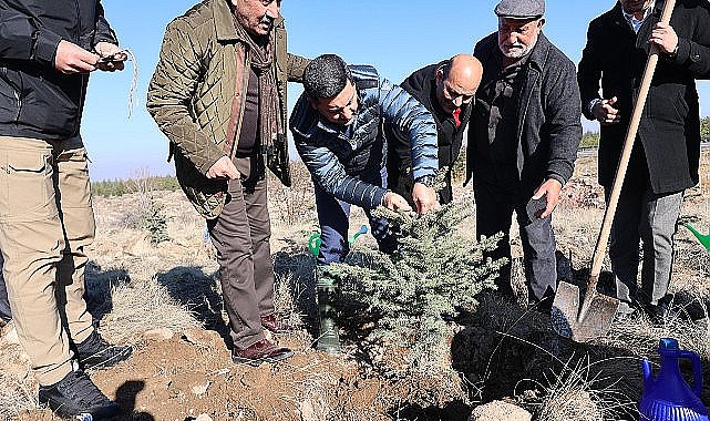 Nevşehir'de Yeni Doğan ve Ölen Kişiler İçin Fidan Dikildi